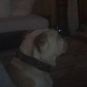 Meet your Posher, Vicki